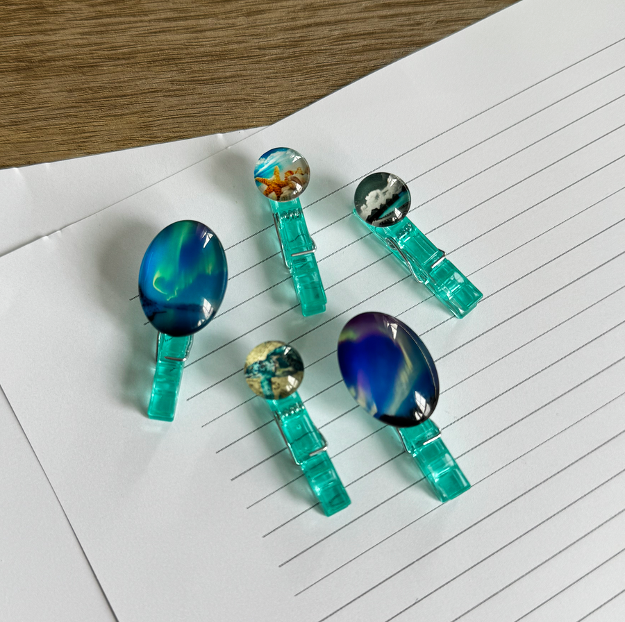 Chic Clips Mini Kit